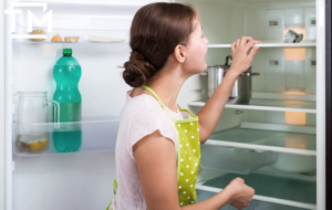 почему холодильник может сильно шуметь